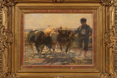 Hirte Mit Jungrindern Um 1915 20